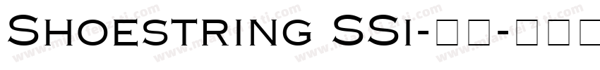 Shoestring SSi-常规字体转换